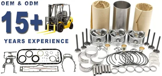 제조업체 공급업체 모터 자동차 부품 단조 피스톤 펌프 세트 피스톤 링 라이너 키트 12010-44G02 for Nissan